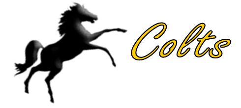 Black colt horse with stylized Colts text